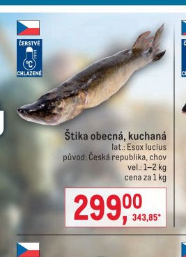 Štika obecná, kuchaná