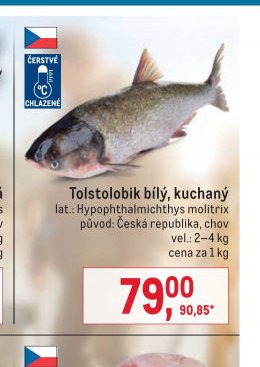 Tolstolobik bílý, kuchaný