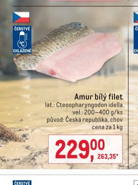 Amur bílý filet