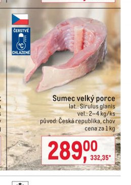 Sumec velký porce