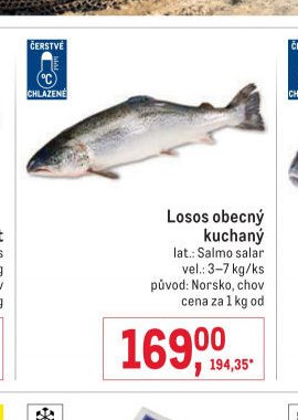 Losos obecný kuchaný
