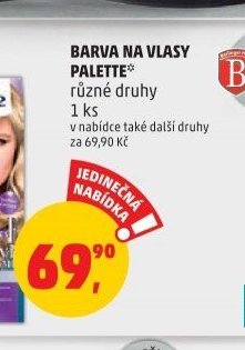 BARVA NA VLASY PALETTE
