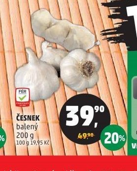 Česnek