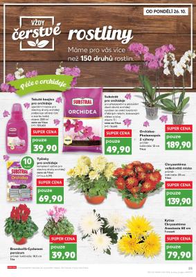 akční leták Kaufland 26.10.2020-3.11.2020