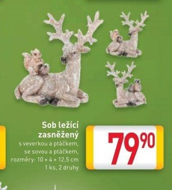 Sob ležící zasněžený
