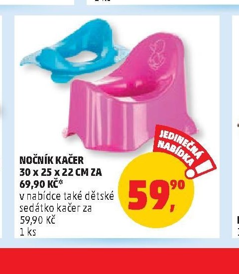 Noční kačer