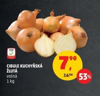 Cibule kuchyňská žlutá