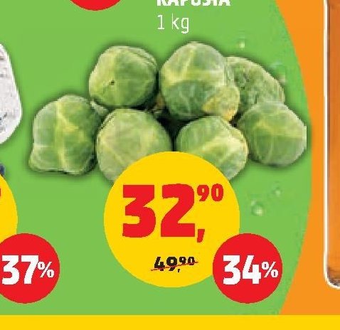 Růžičková kapusta