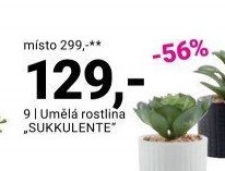 Umělá rostlina SUKKULENTE