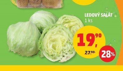 LEDOVÝ SALÁT