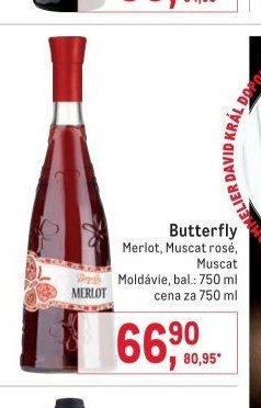 Butterfly