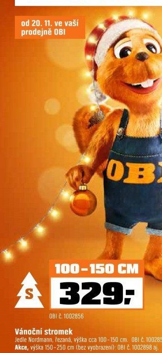 Jedle Nordmannstandard řezaná - OBI akcniletaky.com