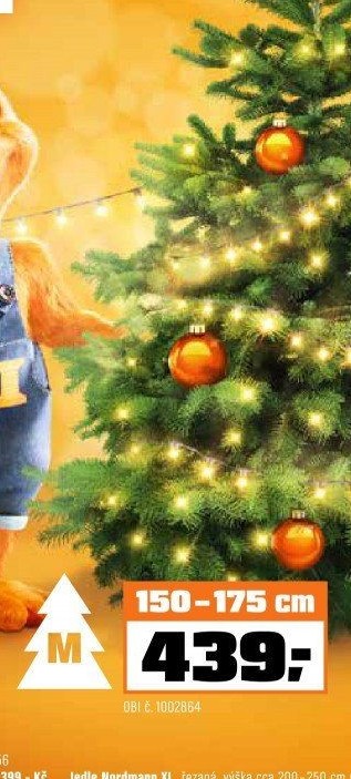 Jedle Nordmannstandard řezaná