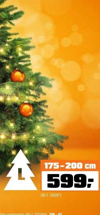 Jedle Nordmannstandard řezaná