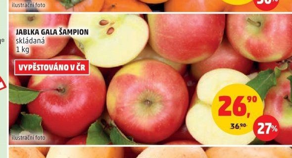 JABLKA GALA ŠAMPION