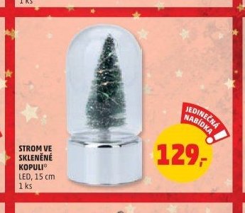 Strom ve skleněné kopuli