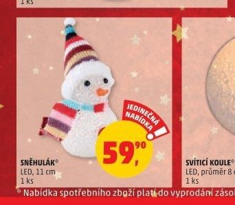 Sněhulák