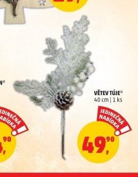 VĚTEV TÚJE 40 cm