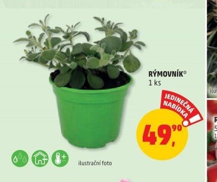RÝMOVNÍK