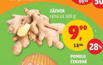 Zázvor