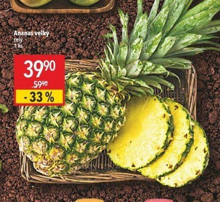 Ananas velký