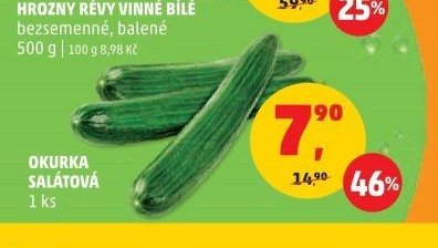 OKURKA SALÁTOVÁ
