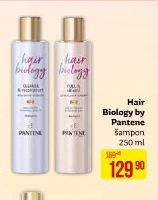 Hair Biology by Pantene šampon 250 ml