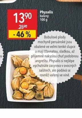 Physalis