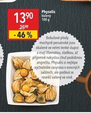 Physalis