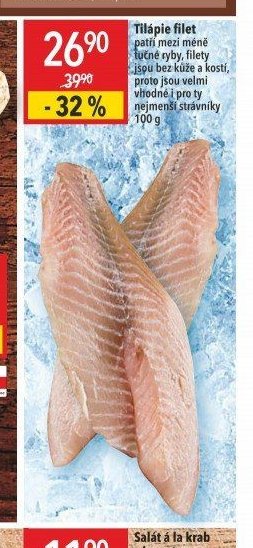 Tilápie filet