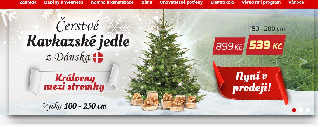 Kavkazské jedle - Mountfield akcniletaky.com