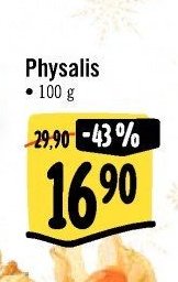 Physalis