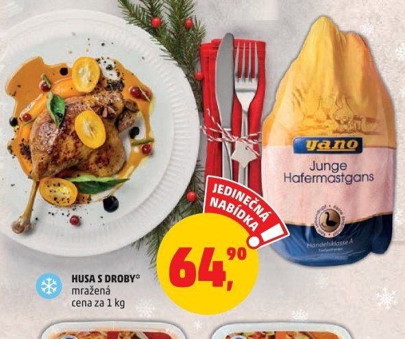 Husa s droby mražená