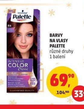 Barvy na vlasy Palette