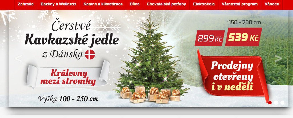 Kavkazské jedle z Dánska - Mountfield akcniletaky.com