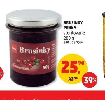 BRUSINKY PENNY