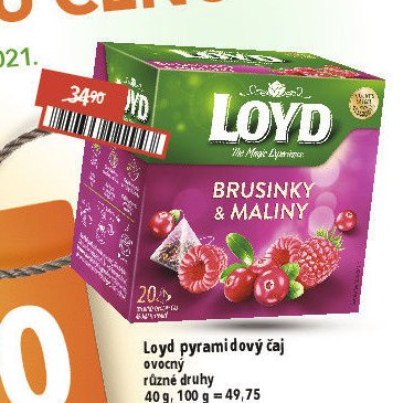Loyd pyramidový čaj