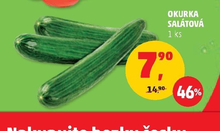 OKURKA SALÁTOVÁ