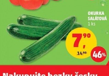 OKURKA SALÁTOVÁ