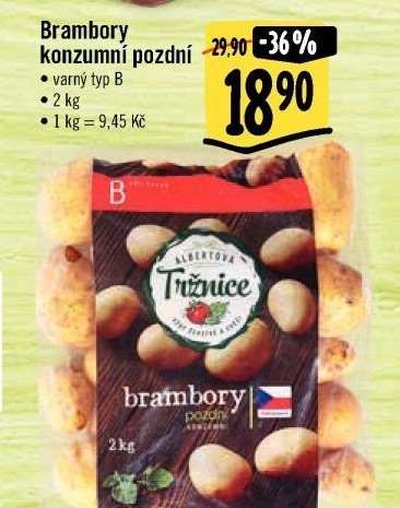 Brambory konzumní pozdní Albert