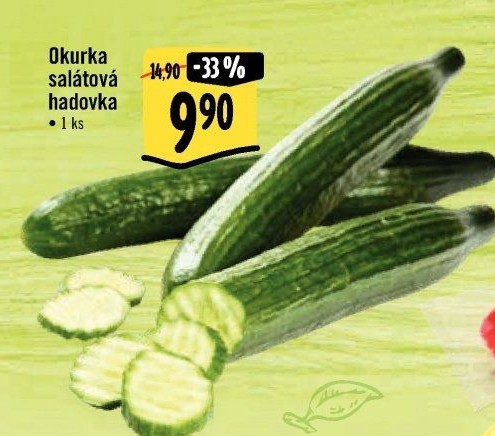 Okurka hadovka