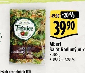 Salát rodinný mix Albert
