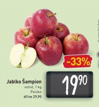 Jablko Šampion