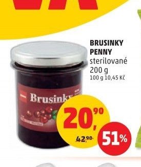 BRUSINKY PENNY