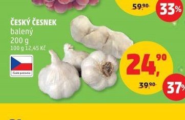 Český česnek