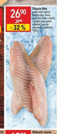 Tilápie filet