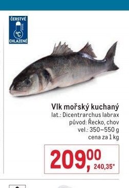 Vlk mořský kuchaný