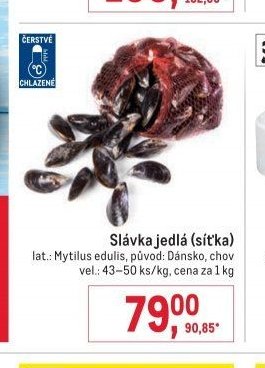Slávka jedlá (síťka)