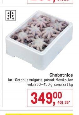 Chobotnice