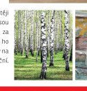 Obkladový panel Forest - ASKO akcniletaky.com